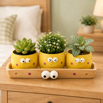 Plant Lover Cute Succulent Pot – Fruit Succulent Planter, Cartoon Resin Small Flower Pot & Kawaii Desk Décor