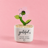 Glass Plant Pot – Personalized Name Mini Flower or Cactus Ornament, Teacher Appreciation Gift & Desk Decoration