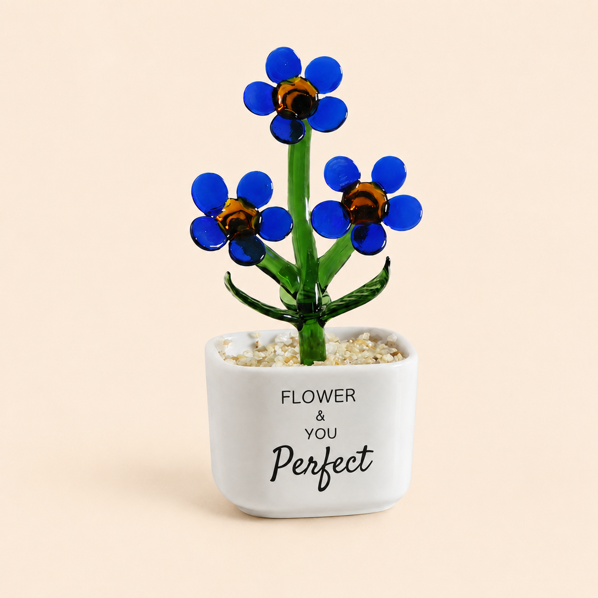 Glass Plant Pot – Personalized Name Mini Flower or Cactus Ornament, Teacher Appreciation Gift & Desk Decoration