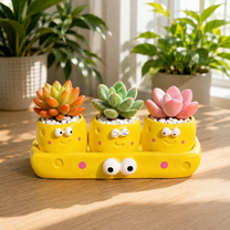 Plant Lover Cute Succulent Pot – Fruit Succulent Planter, Cartoon Resin Small Flower Pot & Kawaii Desk Décor