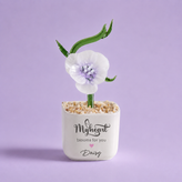 Glass Plant Pot – Personalized Name Mini Flower or Cactus Ornament, Teacher Appreciation Gift & Desk Decoration
