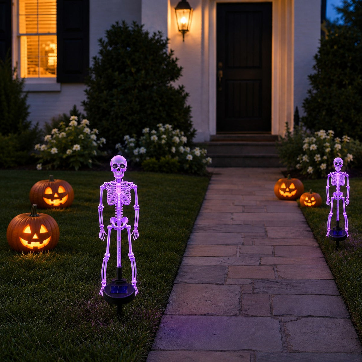 Halloween Skeleton Light | Porch Light, Garden Light, Spooky Lights