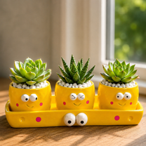 Plant Lover Cute Succulent Pot – Fruit Succulent Planter, Cartoon Resin Small Flower Pot & Kawaii Desk Décor
