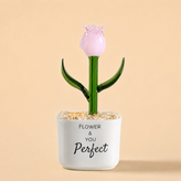 Glass Plant Pot – Personalized Name Mini Flower or Cactus Ornament, Teacher Appreciation Gift & Desk Decoration