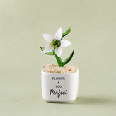 Glass Plant Pot – Personalized Name Mini Flower or Cactus Ornament, Teacher Appreciation Gift & Desk Decoration
