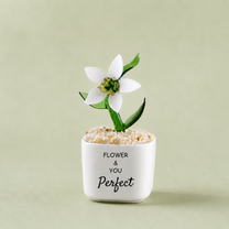 Glass Plant Pot – Personalized Name Mini Flower or Cactus Ornament, Teacher Appreciation Gift & Desk Decoration