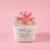 Glass Plant Pot – Personalized Name Mini Flower or Cactus Ornament, Teacher Appreciation Gift & Desk Decoration
