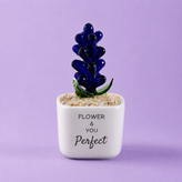 Glass Plant Pot – Personalized Name Mini Flower or Cactus Ornament, Teacher Appreciation Gift & Desk Decoration