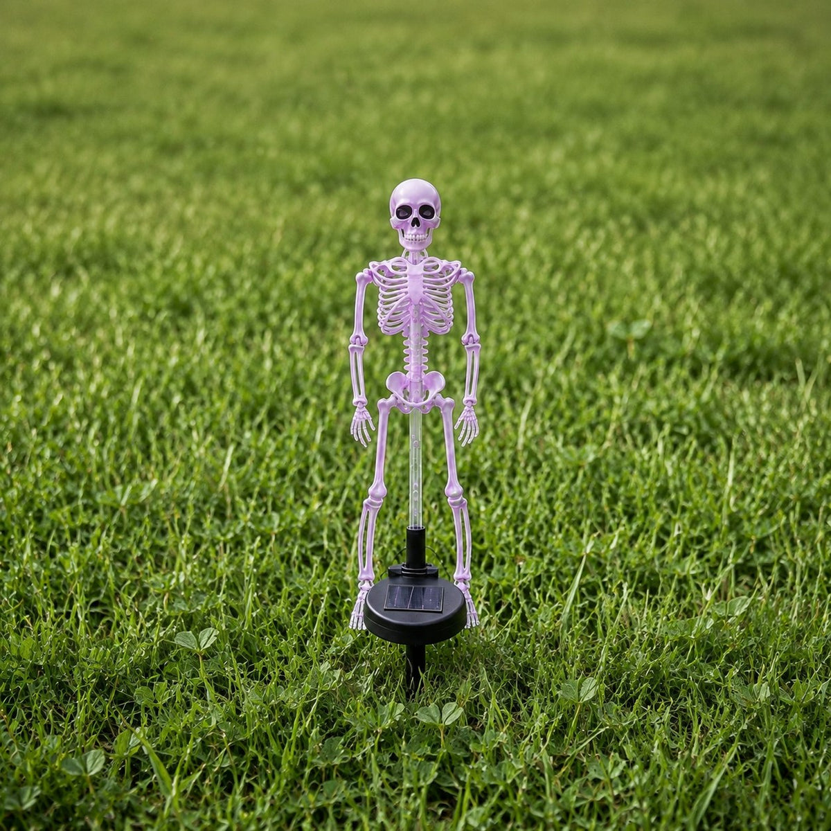 Halloween Skeleton Light | Porch Light, Garden Light, Spooky Lights