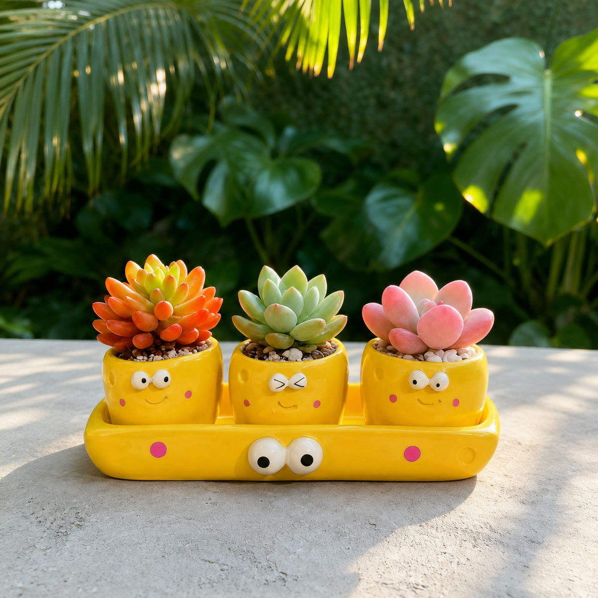 Plant Lover Cute Succulent Pot – Fruit Succulent Planter, Cartoon Resin Small Flower Pot & Kawaii Desk Décor