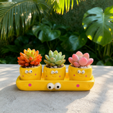 Plant Lover Cute Succulent Pot – Fruit Succulent Planter, Cartoon Resin Small Flower Pot & Kawaii Desk Décor